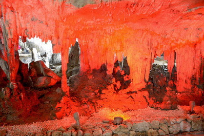 Tetra Cave